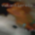 Horny girls phone numbers