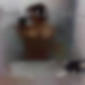 Horny girls Tavares